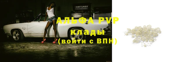гидра Абаза